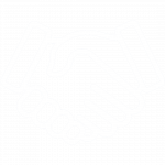 Handshake icon